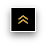 Scroll top icon